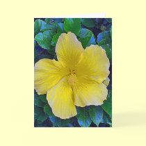 "Lallow" for Truman cards