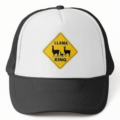 Lama Hats by happypenguin