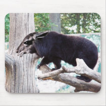 Lamabear mousepad by Junglegeorge Lamabear mousepad