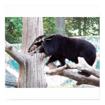 Lamabear poster posters by Junglegeorge Lamabear poster posters
