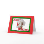 LaMancha Goat Holiday Santa Hat Christmas cards