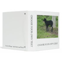 Lamb 2012 - Ravenko 3 Ring Binder