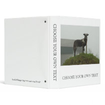 Lamb 2012 - Shimo Binder