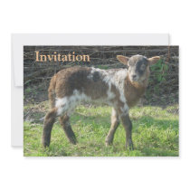 Lamb 2012: SusannaDuffy Custom Invitations