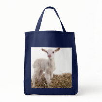 Lamb Tote Bag