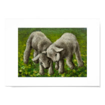 Lamb fight print