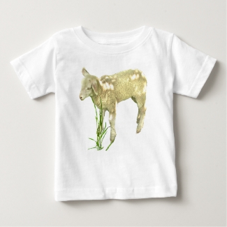 Lamb Grazing in Grass Baby Shirt