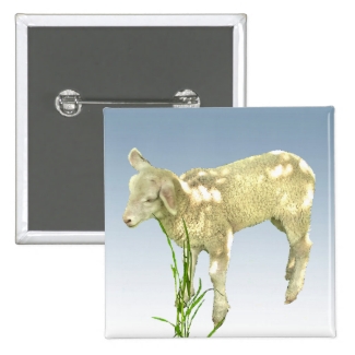 Lamb Grazing in the Green Grass Button