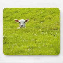 lamb in a dip mouse pads
