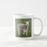 LAMB MUG