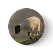 Lamb on a Hilltop Button Badge