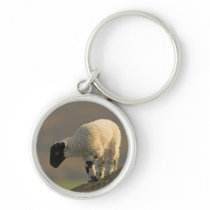 Lamb on a Hilltop Keychain/Keyring