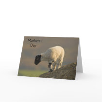 Lamb on a Hilltop Mothers Day Card
