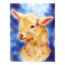 Lamb Portrait Fine Art Print