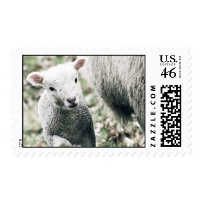 lamb postage stamp by photocatseyes
