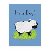 Lamb Postcard