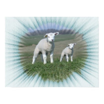 Lamb Poster posters