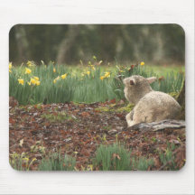 Lamb & Spring Flowers Mousepad