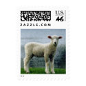 Lamb standing postage 548 postage by ElegantRose Lamb standing postage 548 postage