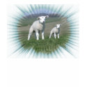 Lamb T-Shirt