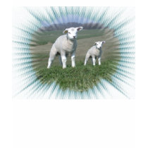 Lamb T-Shirt by deesbasenjis Lamb T-Shirt
