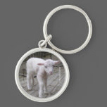 LAMB - WOOLY BULLY keychains