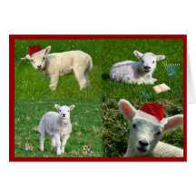 lambie holidays greeting cards