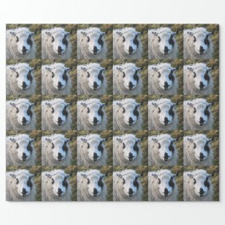 Lambie Wrapping Paper
