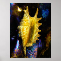 Lambis digitata Seashell Poster