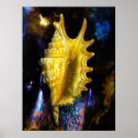 Lambis digitata Seashell Poster