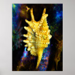 Lambis digitata Seashell Print