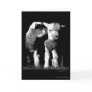 Lambs Greeting Cards