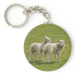 Lambs Keychains