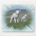Lambs Mousepads