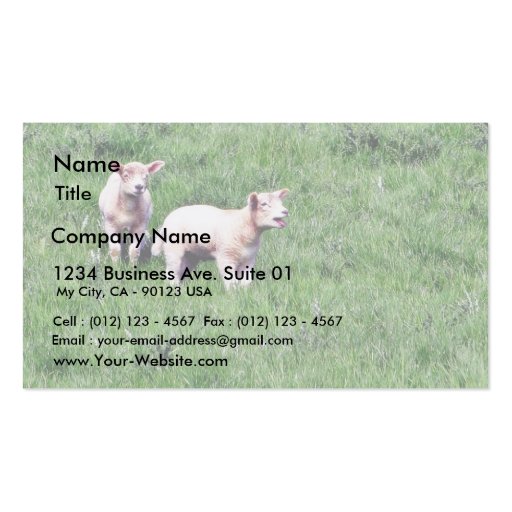 Lambs Sheep Business Cards (front side)