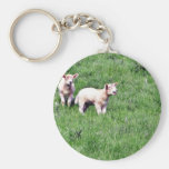 Lambs Sheep Key Chain