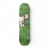 Lambs Sheep skateboards by lifesphere Lambs Sheep skateboards