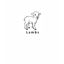 LAMBS! t-shirts by BoingMan LAMBS! t-shirts