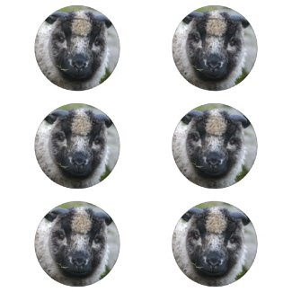 Lambster Buttons Pack Of Small Button Covers