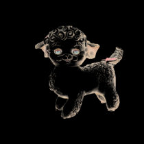 Lamby t-shirts