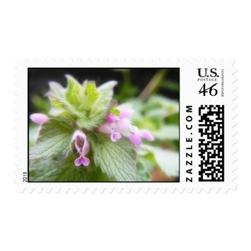 Lamium purpureum - Purple Deadnettle stamp