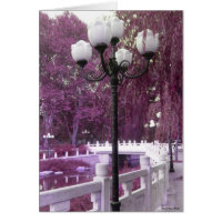 Lamp in Changan Park Card card