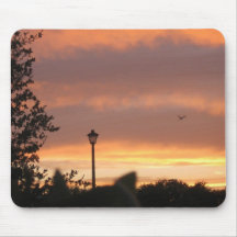 Lamp Post and Bird Mousepads