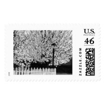 Lampost in Springtime postage by bhbphotos Lampost in Springtime postage