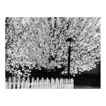 Lamppost in Springtime posters by bhbphotos Lamppost in Springtime posters