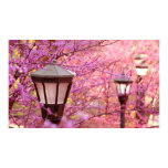 Lamps of UVA