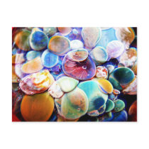 Lampwork Boro Glass Underwater Aquatic Postcard