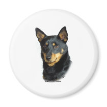 Lancashire Heeler Fridge Magnets