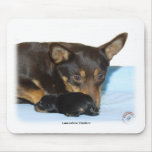 Lancashire Heeler with puppy mousepads