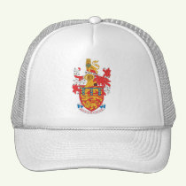 Click here to buy